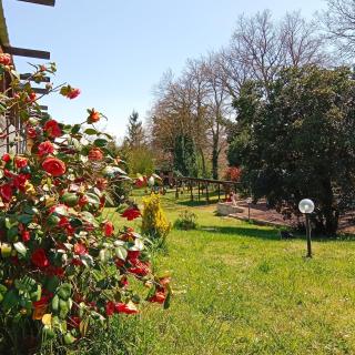 LA GROTTA Bed and Breakfast - Castel Giorgio - 4