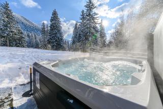 Hotel Casa Viorel jacuzzi & saunas - Poiana Brasov - 0