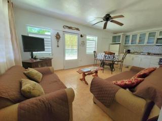Unit facing Steps Beach and with close beach access - Rincon - 7
