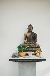 Rama Shala - Home of the flying Yogis - Harumalgoda West - 4