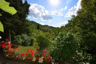 Wohnung La Capanna im Ferienhaus mit Pool - Radicondoli - 4