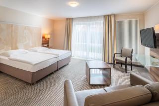 Balland's Hotel & Restaurant - 9