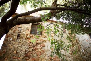 Casa Il Sàrperi In Montecatini Val Di Cecina - 6