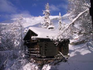 Mazot de l' Arche de Noé - Verbier - 9