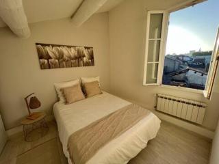 Duplex de charme, hyper centre, place des Carmes - 3