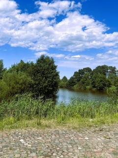 Dobre Miejsce- domki letniskowe nad stawem - Sianów - 5