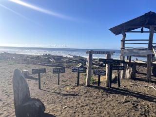 Harmonic Farms Beachfront Villa - 6