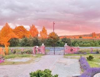 Dobre Miejsce- domki letniskowe nad stawem - Sianów - 1