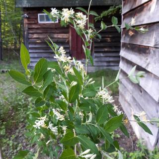 Deer Valley Retreat, Lovely Log Cabin with Fireplace & Garden Views- Perfect for a Relaxing Getaway! - 5