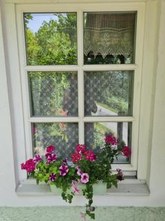 Ferienhaus Forsthof - 9