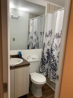 Escape to Pucón! - 5