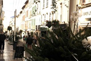 Le Goéland - Toulon - 3
