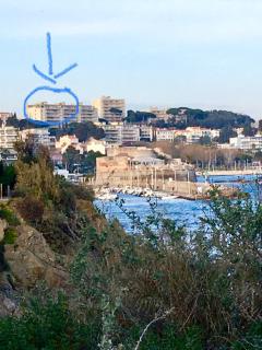 Le Goéland - Toulon - 1