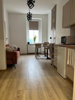 Apartament Kaszmir - Gliwice - 9