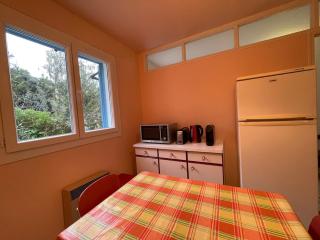 Casa Nunziada in Patrimonio Garden level, Quiet and Bright - 4