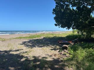Miss Miriam BeachFront Cabins - Tortuguero - 7