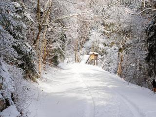 Doppelhaushälfte in Hasselfelde - 2