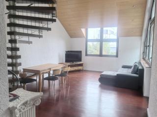 Schöne Maisonette im Villa 12-5 Uni Mainz - Mayence - 6