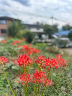 縁側ハウス - Kameoka - 6
