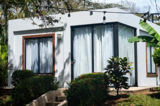 The Bohemian Lagarto - Santa Cruz - 9