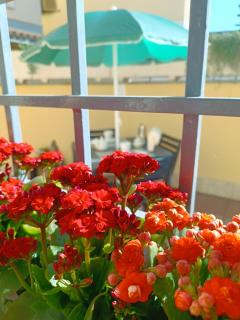 My Home B&B - Fiumicino - 9