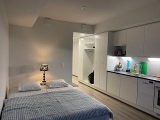 Modern furnished studio - 3