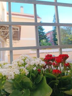 My Home B&B - Fiumicino - 8
