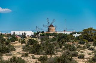Casa Marino Formentera - San Francisco Javier - 8