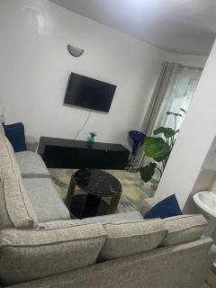 Lavish One bedroom Roasters Garden estate opposite Garden city Thika road Nairobi - Nairobi - 1