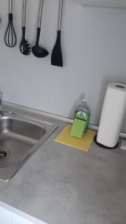 apartma Vila TARA - 1