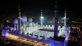 Top House Zayed Airport - Abu Dhabi - 8