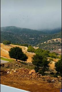 منتجع الحور - Ajlun - 4