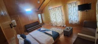 Passport official hotel - Srinagar - 9