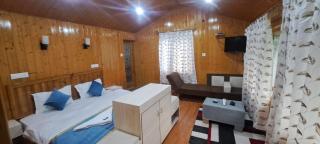 Passport official hotel - Srinagar - 8