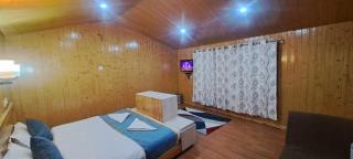 Passport official hotel - Srinagar - 1