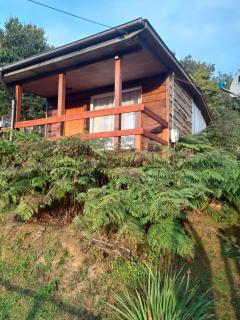 Canta Rana para dos - 9