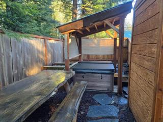 Knotty Shack- Unique Tiny Log Cabin with Hot Tub - 1