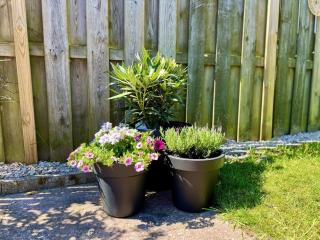 vacation bungalow for 4 persons - Sint Maartenszee - 0