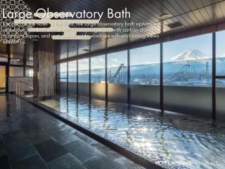 HOTEL MYSTAYS Fuji Onsen Resort - Fujiyoshida - 9
