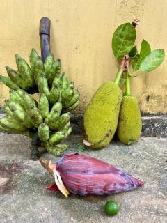 Hello Homestay - Galle - 6
