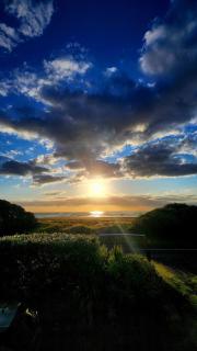 Beachfront Sunset Bach - Piha - 8