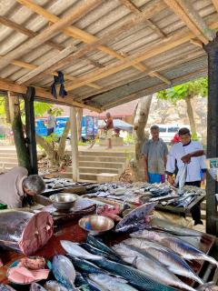 Conch Villa- 3 Min walk to the beaches - 4