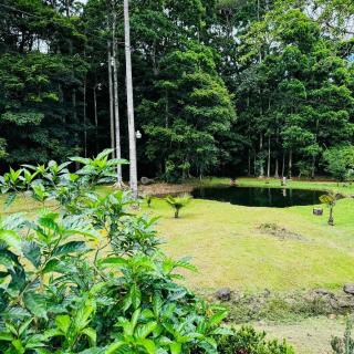 Finca Celeny - 1
