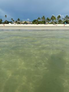 Elegant Naples Escape with Heated Pool, Sauna, Tennis & Pickleball 3 mls to Beach - Naples - 6