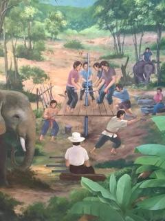 Phang-nga Farm Stay - Ban Hin Rua - 7