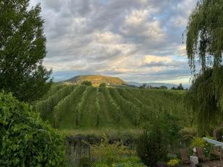 Blackbird Glen Bed and Breakfast, Glenmore, Kelowna, BC - Kelowna - 9