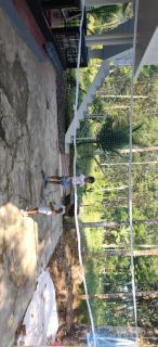 Eevas Farm Stay - Cochin - 8