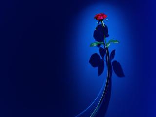 HOTEL IL PALAZZO - Vacation STAY 68248v - 1