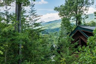 The Bear Club - Pigeon Forge - 9