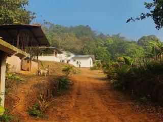Trails of sakleshpur - Māranhalli - 2